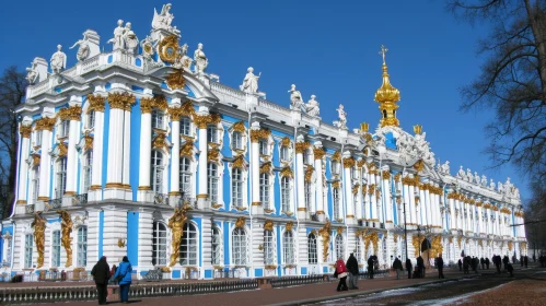Discover the Splendor of Catherine Palace in Tsarskoye Selo, Russia