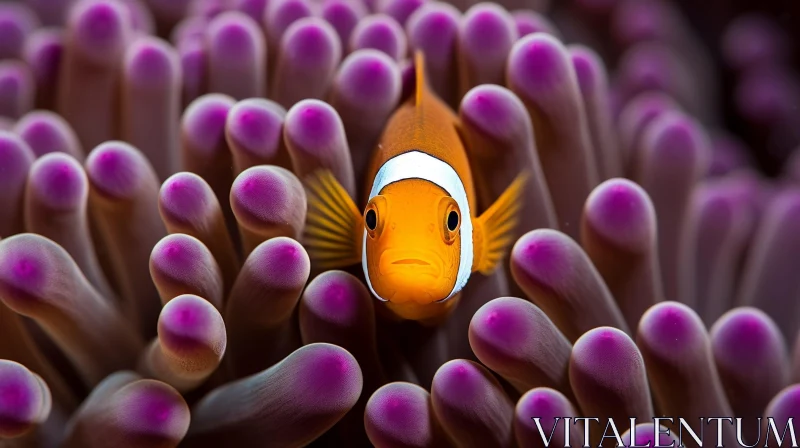Enchanting Clownfish in Purple Anemone AI Image