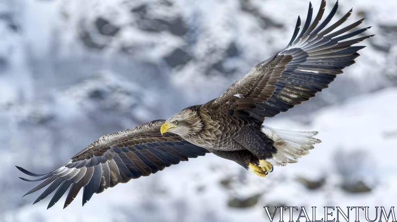 White-Tailed Eagle in Flight: Majestic Wildlife Photography AI Image