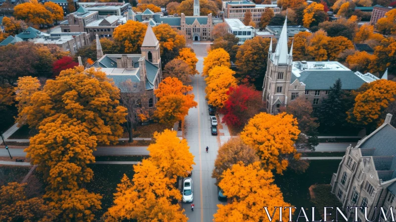 AI ART Aerial View of University Campus in Fall | Architectural Beauty