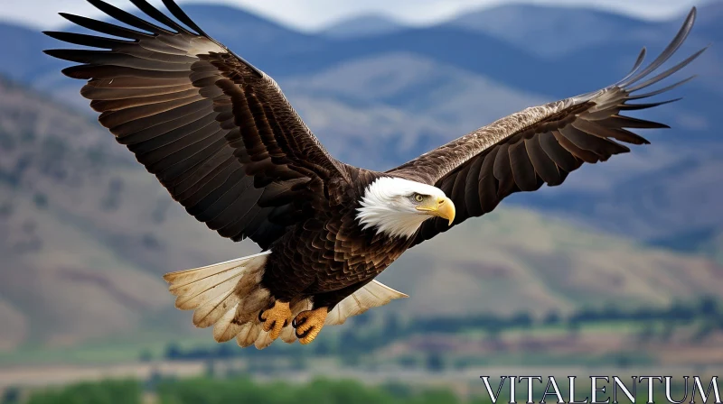 Majestic Bald Eagle Soaring in the Sky AI Image