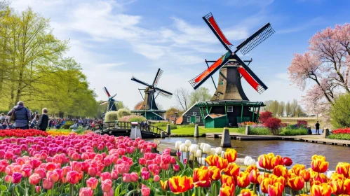 Tranquil Landscape in the Netherlands with Windmills and Colorful Tulips