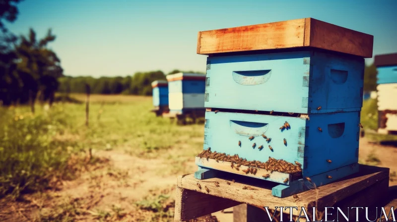 Tranquil Nature Scene: Blue Beehive in Field with Bees AI Image