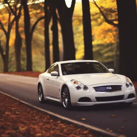 White Sports Car on Forest Road | Tonalist Color Scheme | Luxurious