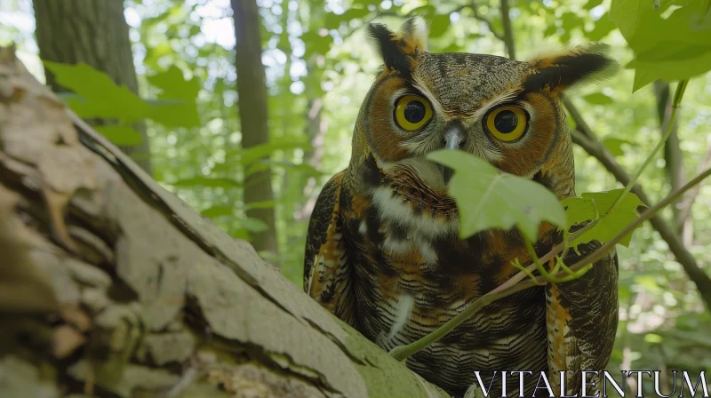 Enchanting Owl Perched on Tree Branch AI Image