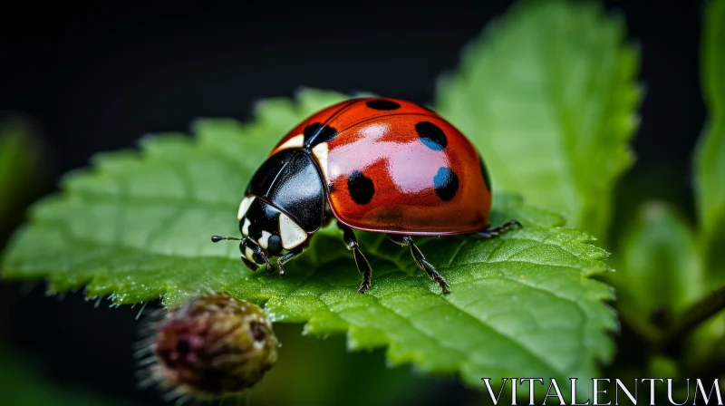 AI ART Red Ladybug on Green Leaf - Macro Insect Photography