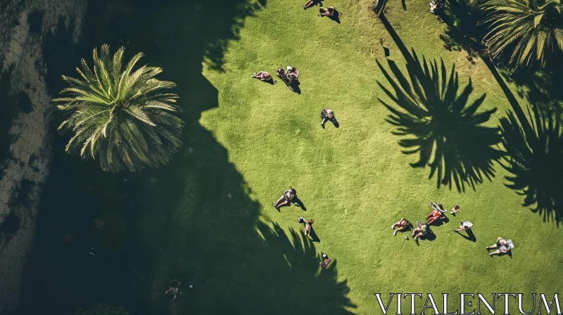 Captivating Aerial Shot of a Serene Park with Palm Trees AI Image