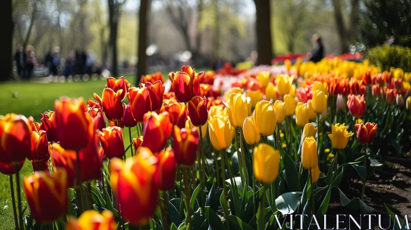Vibrant Tulips in a Sun-Kissed Park - Captivating Spring/Summer Image AI Image
