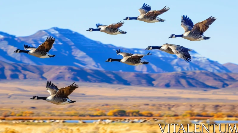Geese Flying Over Snowy Mountain Landscape AI Image