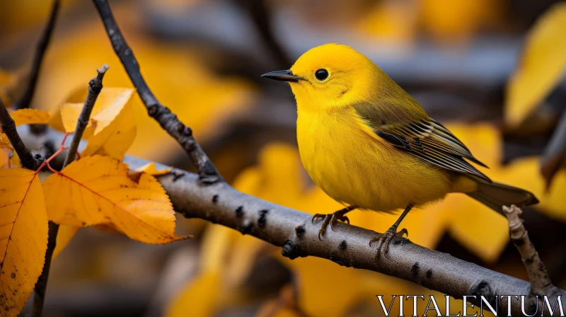 Yellow Bird Perched on Branch - Nature Photography AI Image
