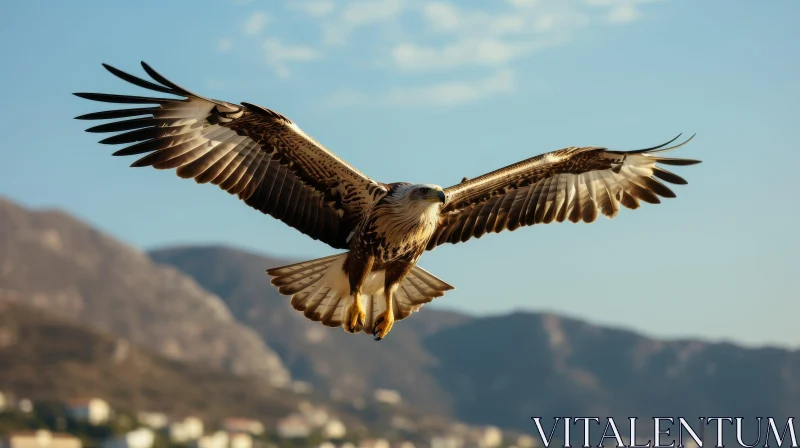 Majestic Hawk Soaring in Sky | Wildlife Photography AI Image