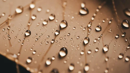 Tranquil Water Droplets on Brown Surface