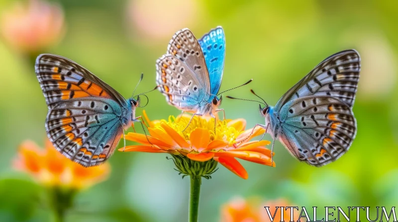 AI ART Colorful Butterflies on Orange Flower