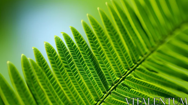 Green Fern Leaf Close-Up in Tropical Rainforest AI Image