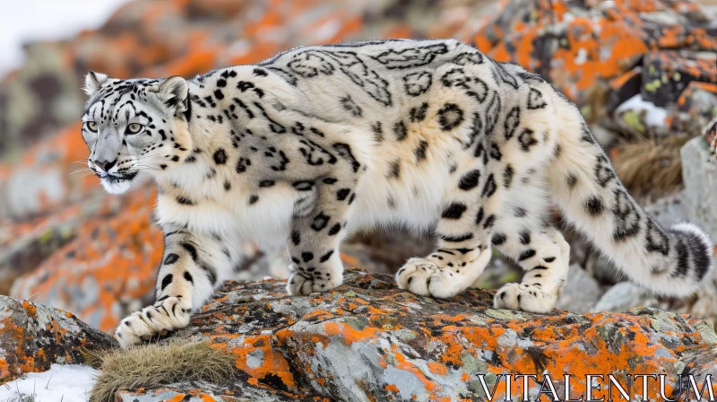 Snow Leopard in Mountain Habitat AI Image