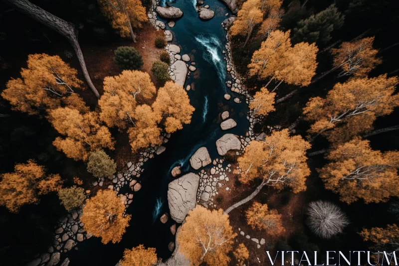 Aerial Shot of Rivers and Trees in Autumn | Organic Nature-Inspired Forms AI Image