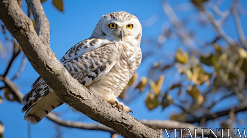 Snowy Owl Perched on Branch - Wildlife Photography AI Image