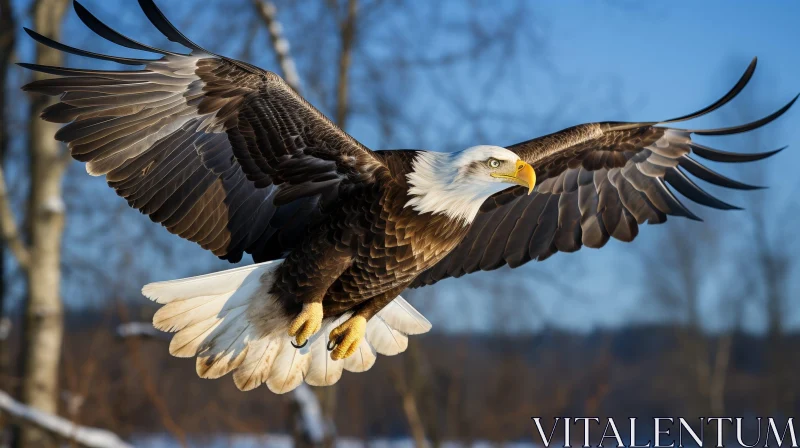 AI ART Majestic Bald Eagle Flying in the Sky