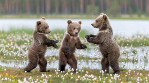 Playful Bear Cubs in Lush Field