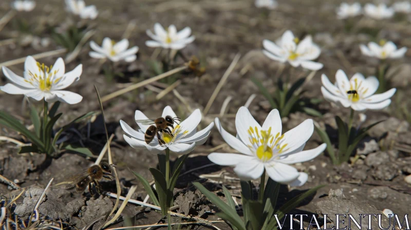 AI ART Bee Pollinating White Flower in Field