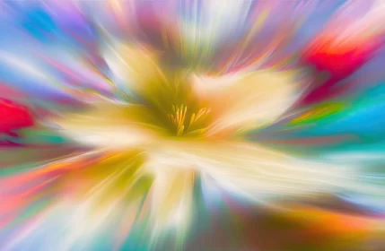 Enchanting Yellow Flower in Motion with Colorful Gradient - Dreamlike Installations