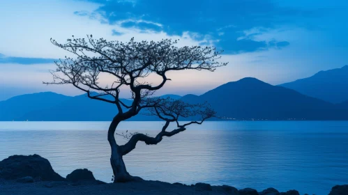 Solitary Tree on Lake Shore - Serene Nature Landscape