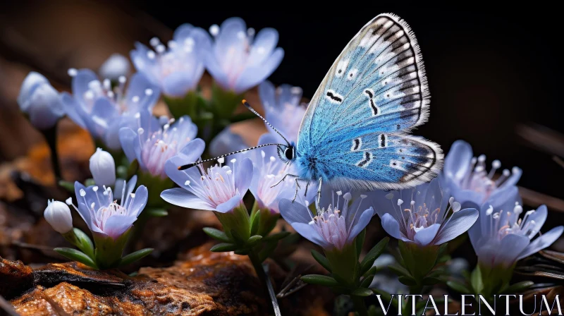Blue Butterfly on Flower Close-Up AI Image