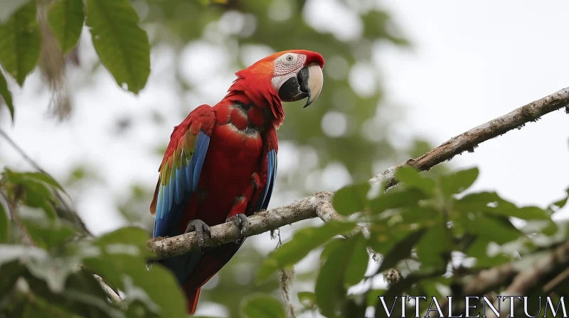 Red Parrot in Lush Green Jungle AI Image
