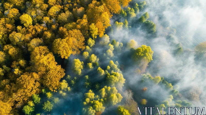 Vibrant Autumn Forest Aerial View with Colorful Foliage AI Image