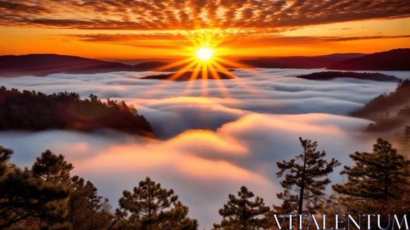Captivating Sunrise Over the Clouds with Trees | National Geographic Photo AI Image