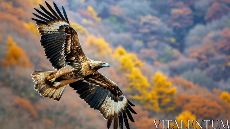 Majestic Golden Eagle in Flight - Stunning Nature Photography AI Image
