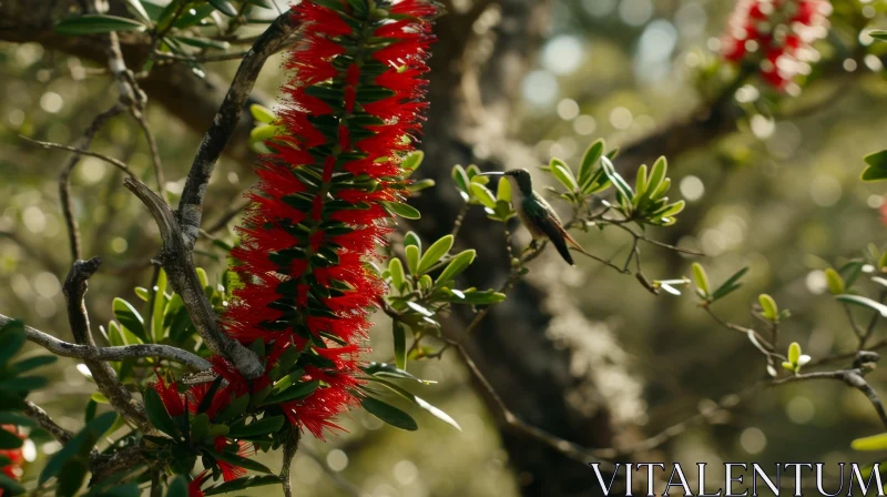 AI ART Captivating Hummingbird and Red Flower in Nature
