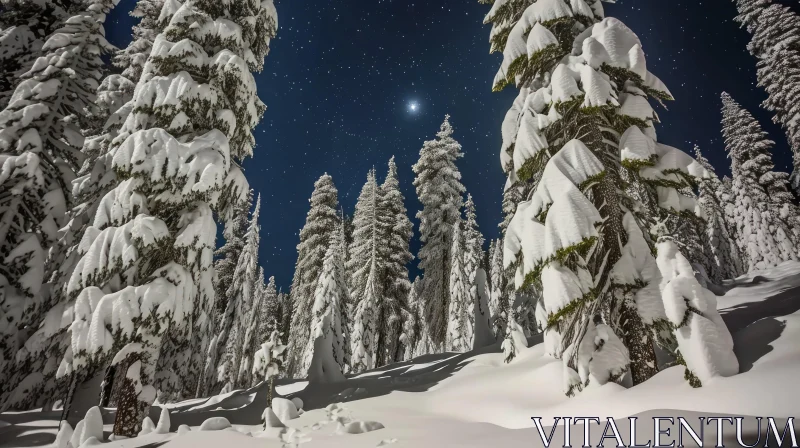 Night Winter Forest: Serene and Snow-Covered Scene AI Image