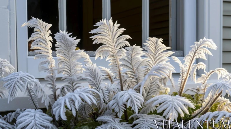 Delicate Plant Covered in Frost or Snow: A Captivating Winter Scene AI Image