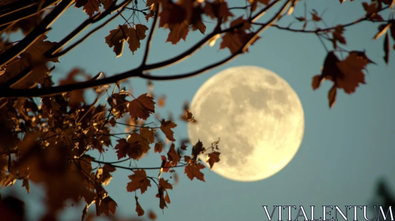 Full Moon Rising Behind Autumn Tree - Serene Nature Image AI Image