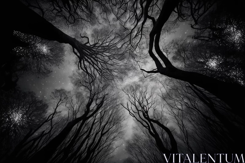 Captivating Black and White Forest Image | Surreal Horror | Impressive Skies AI Image