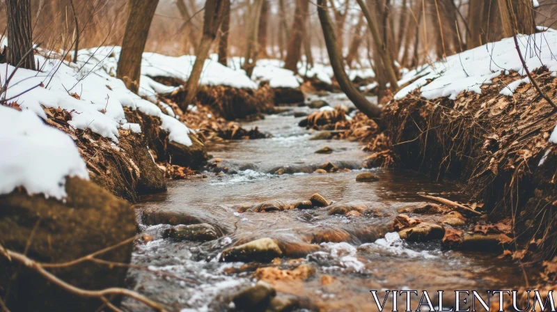 Serene Winter Landscape: Creek in Snowy Forest AI Image