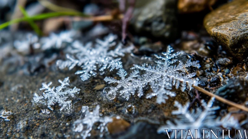 Delicate Ice Crystals Close-Up | Frozen Puddle Photography AI Image