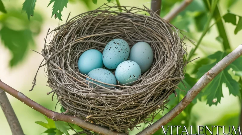 Enchanting Bird's Nest with Four Delicate Eggs AI Image