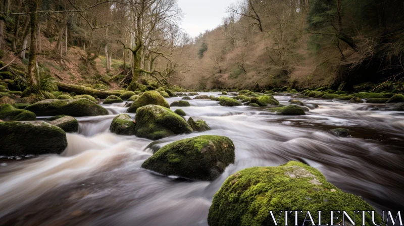 Serene River Flowing Through Mossy Forest AI Image