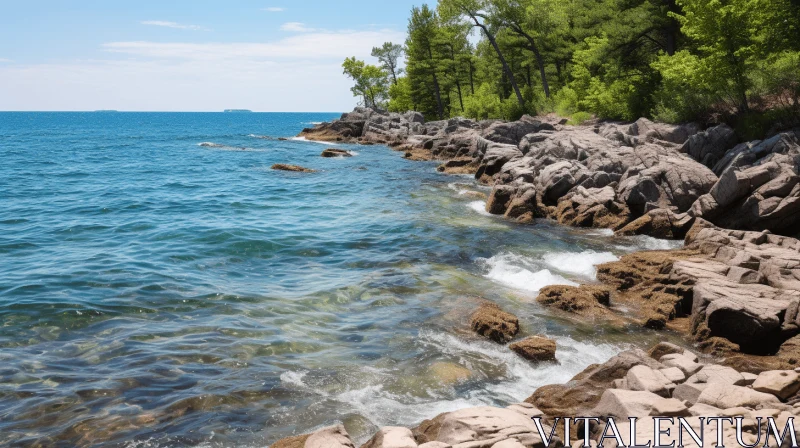 Captivating Shore with Trees and Rocks on a Sunny Day AI Image