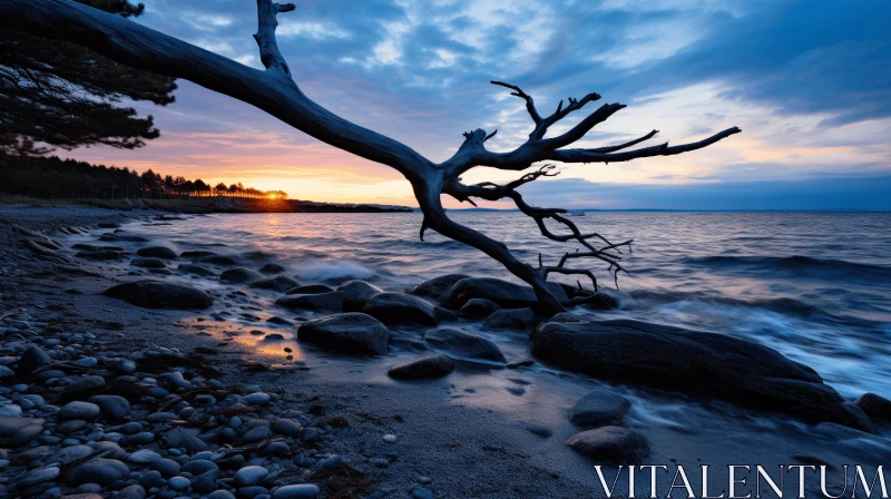 Luminous Seascape: A Dead Tree Branch Leaning Over the Water AI Image