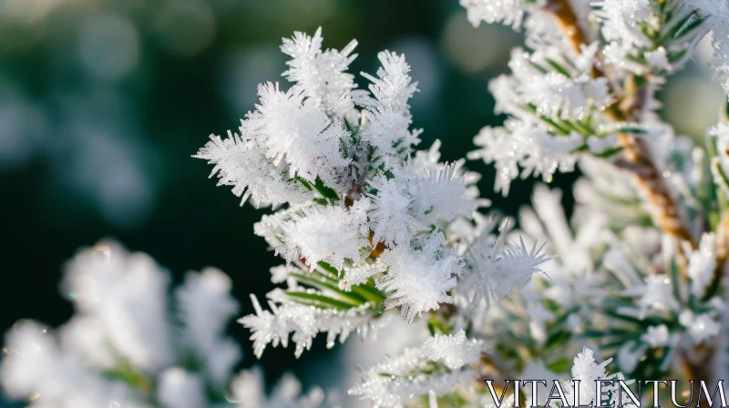 Close-up of Frost-Covered Plant with Sparkling Crystals AI Image