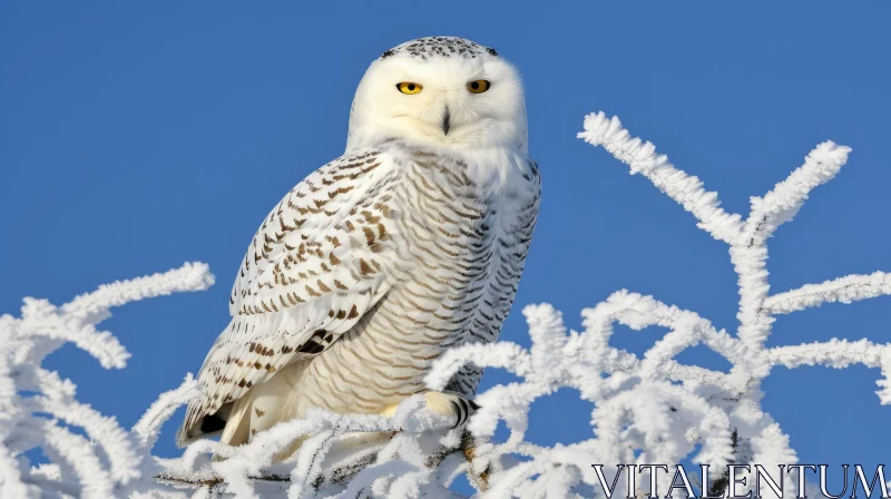 Snowy Owl Perched on Branch - Majestic Nature Photography AI Image
