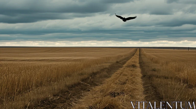 Gloomy Wheat Field with Flying Crow - Symbolic Nature Art AI Image