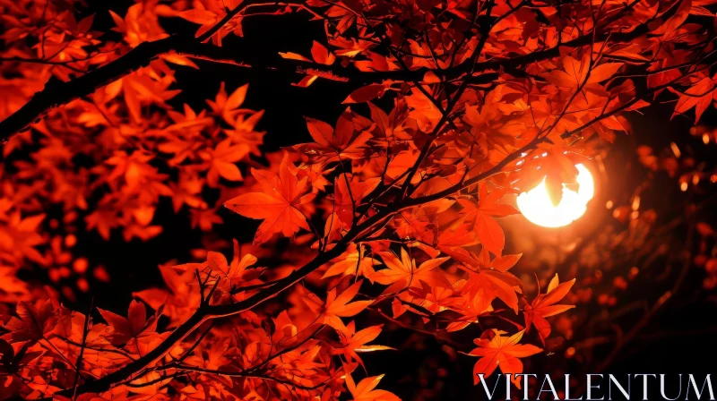 Japanese Maple Tree with Vibrant Red Leaves | Capturing the Essence of Autumn AI Image