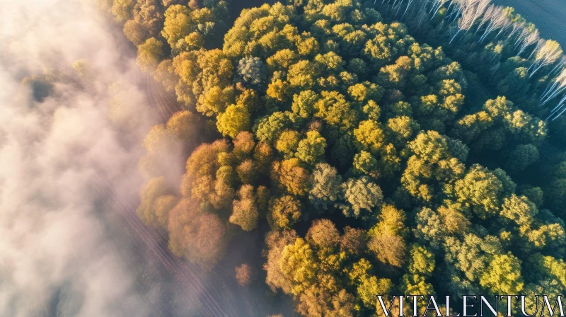 AI ART Enchanting Aerial View of a Lush Autumn Forest