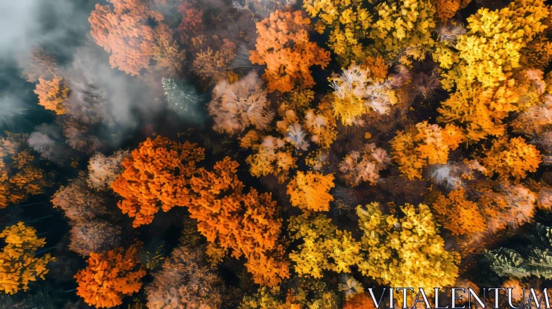 AI ART Aerial View of a Colorful Fall Forest - Captivating Natural Beauty