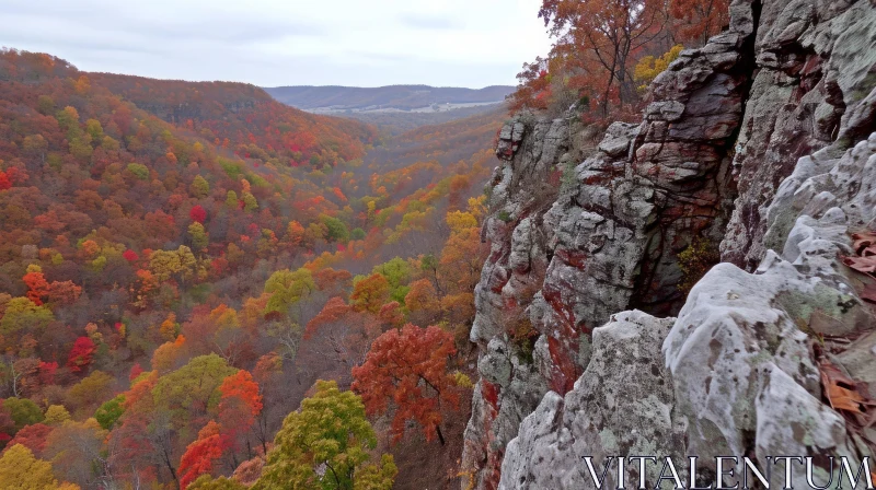 Captivating Autumn Valley Landscape Photograph AI Image