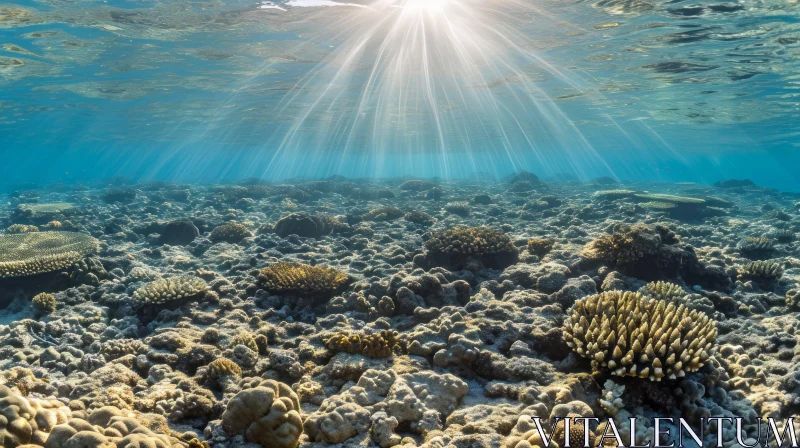 Underwater Coral Reef Photo - Crystal Clear Water, Sparkle Effect AI Image